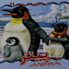 پیتر پنگوئن بازیگوش : از سری داستان های حیوانات (11)